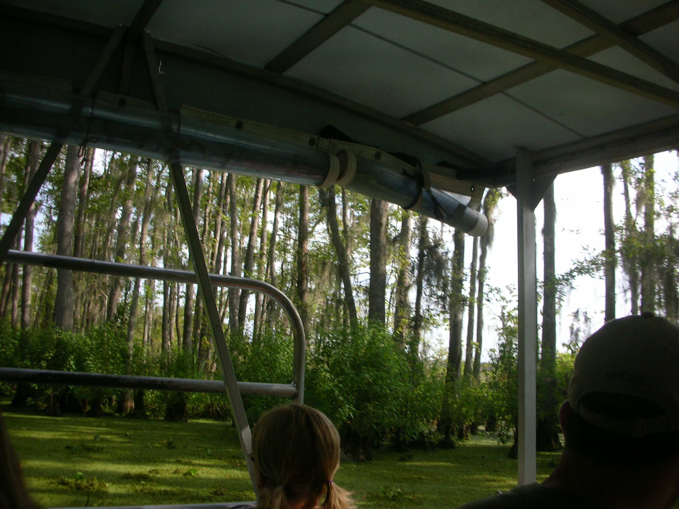 DSCN6377.JPG