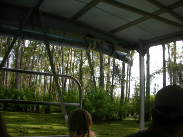 DSCN6377.JPG