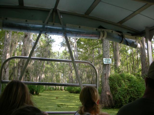 DSCN6378.JPG