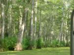 DSCN6379.JPG
