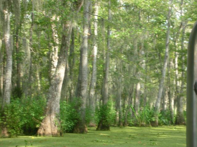 DSCN6379.JPG