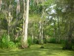DSCN6380.JPG