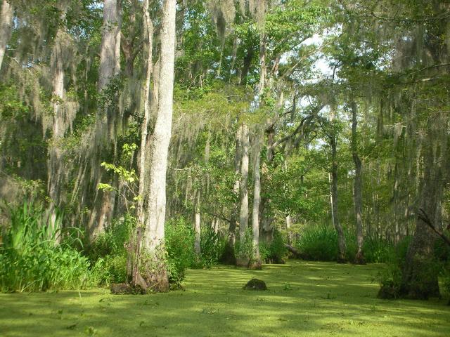 DSCN6380.JPG