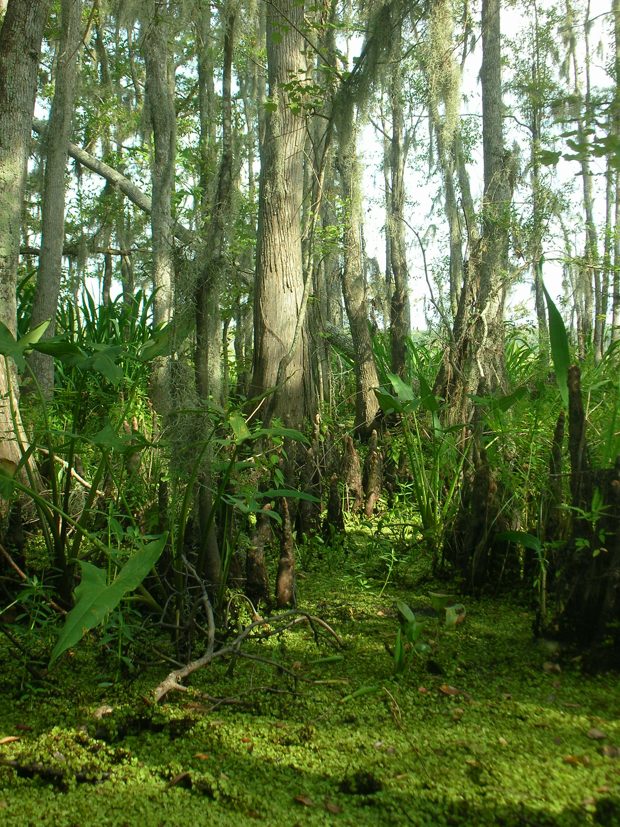 DSCN6381.JPG