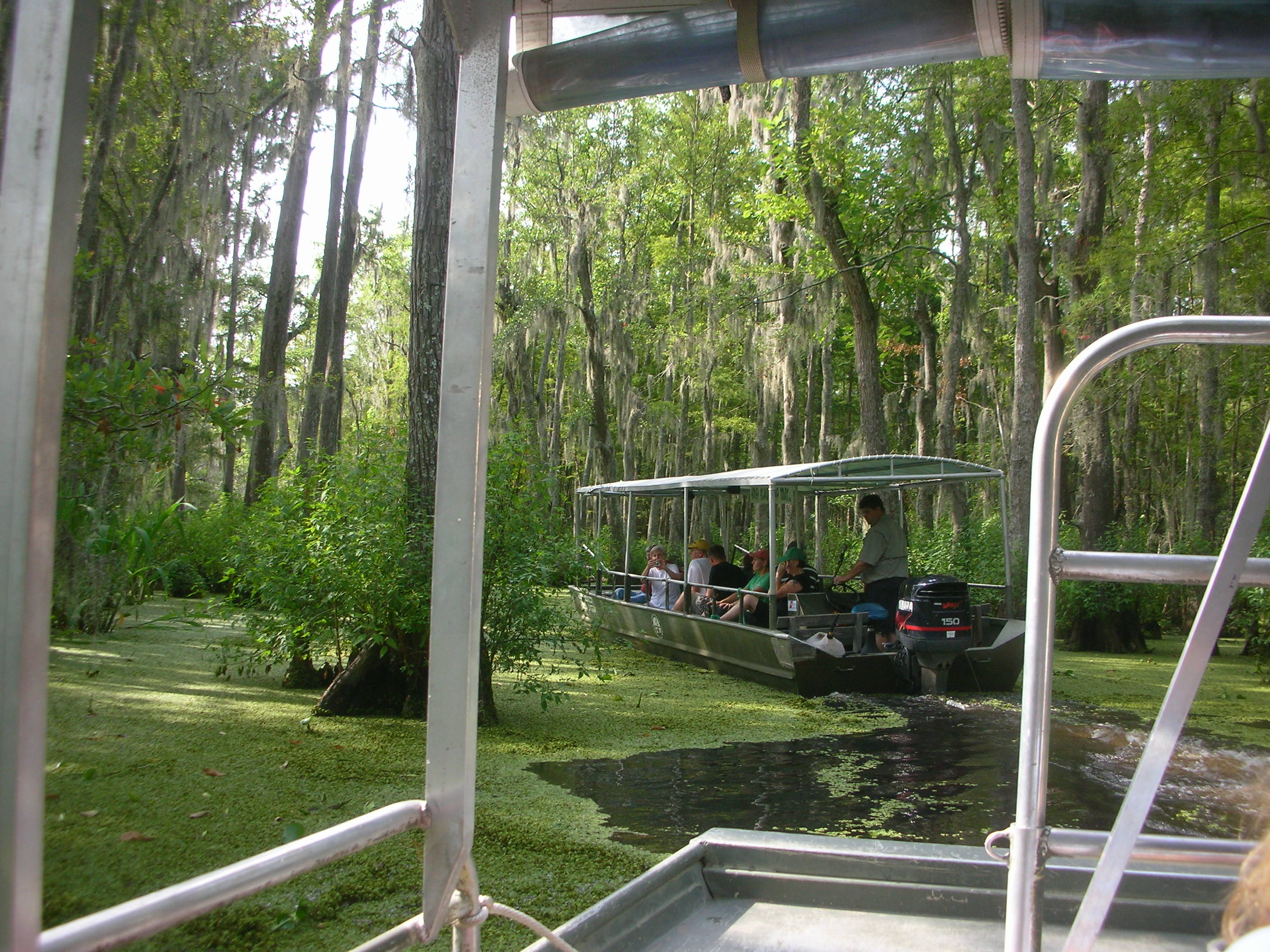 DSCN6383.JPG