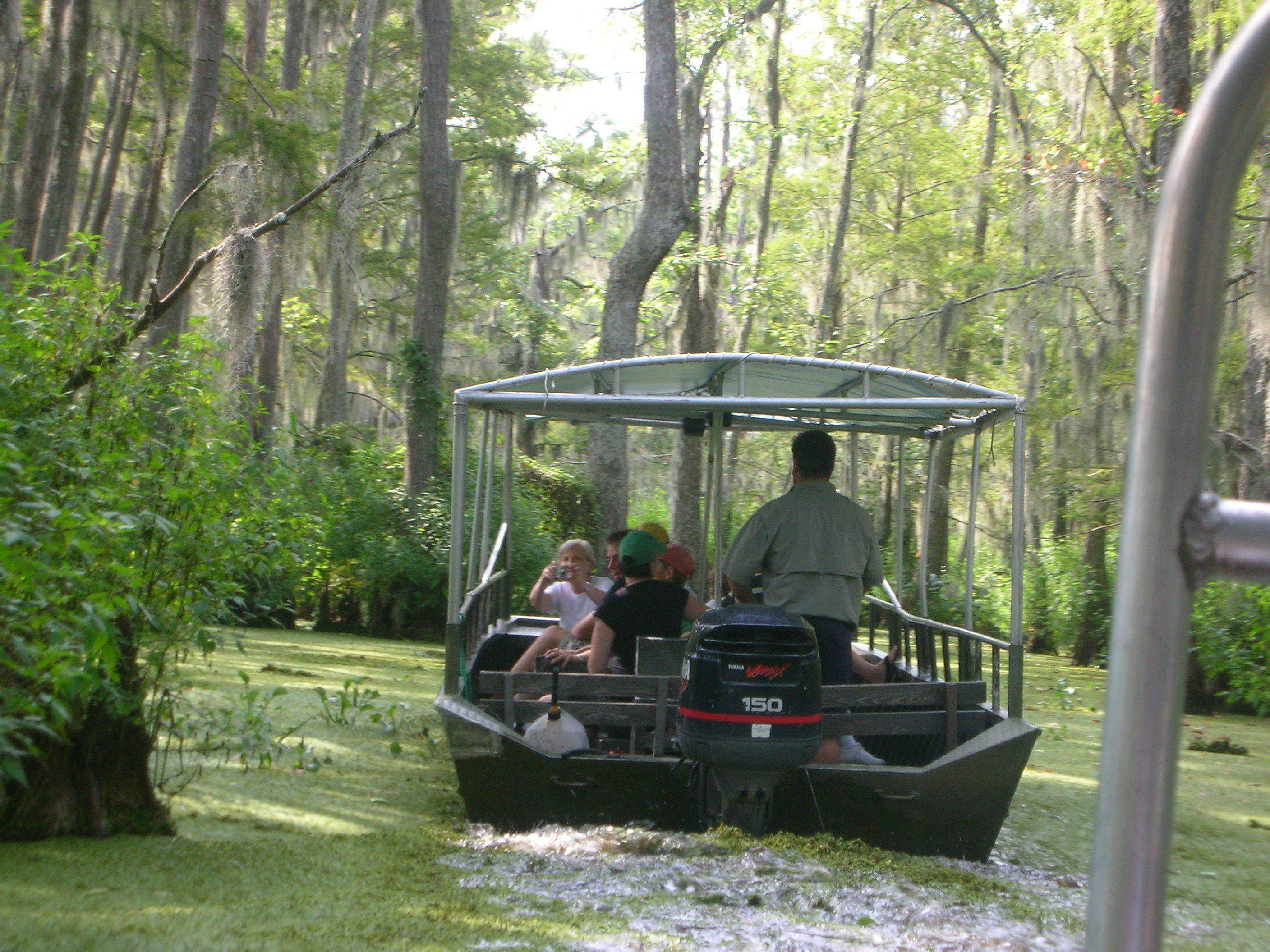 DSCN6384.JPG