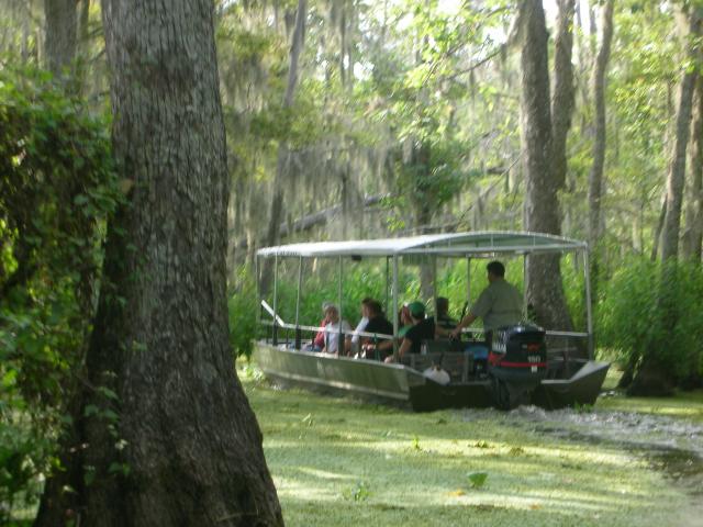 DSCN6386.JPG