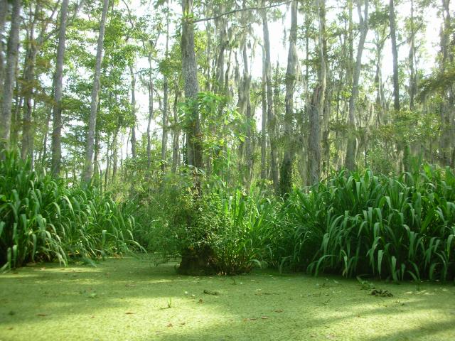 DSCN6387.JPG