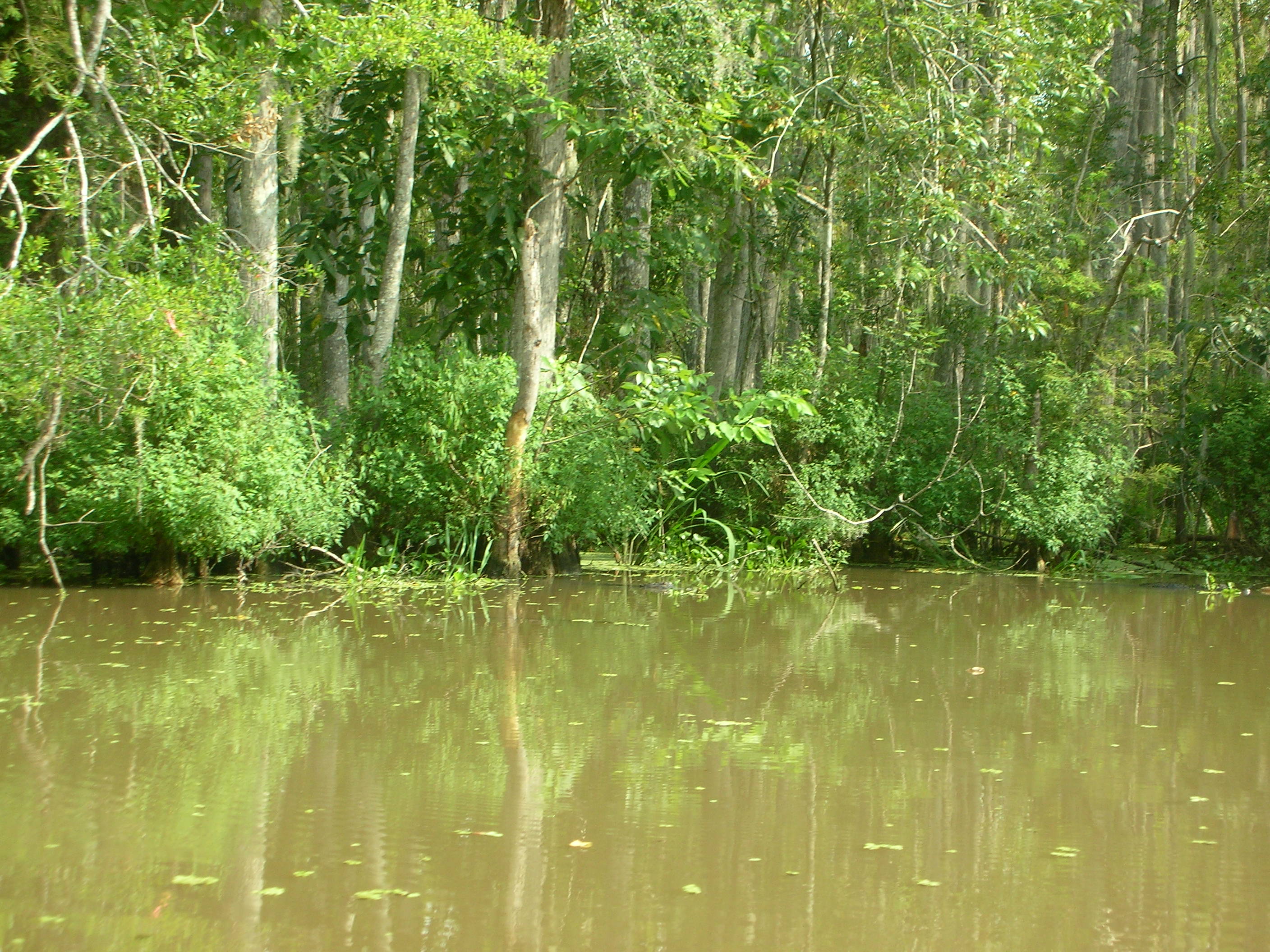 DSCN6392.JPG