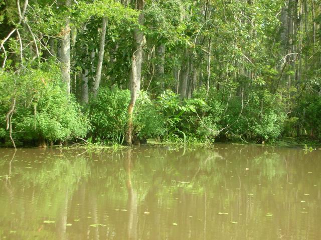 DSCN6392.JPG