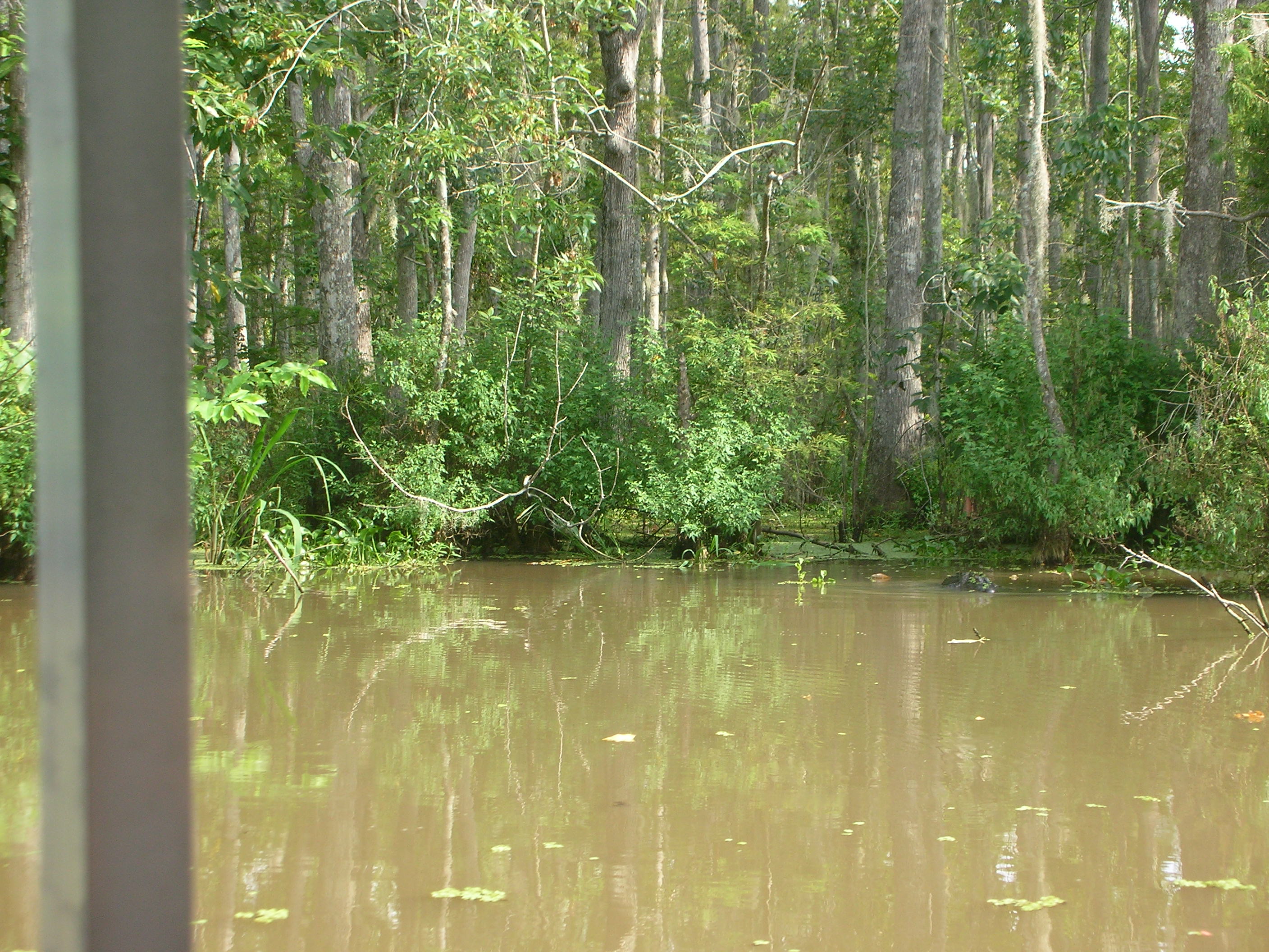 DSCN6393.JPG