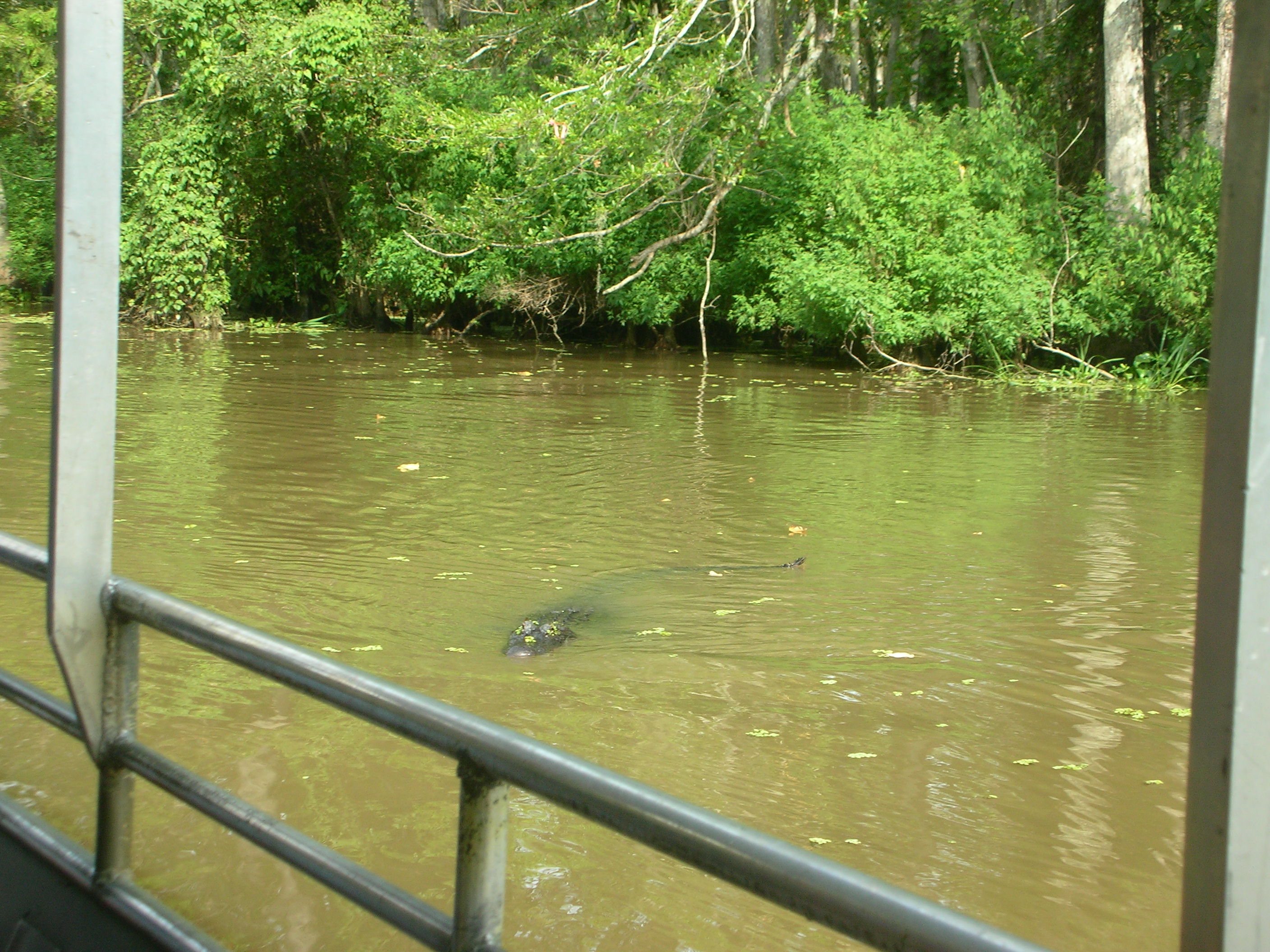 DSCN6394.JPG