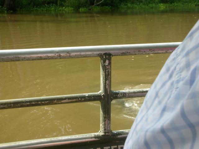 DSCN6395.JPG