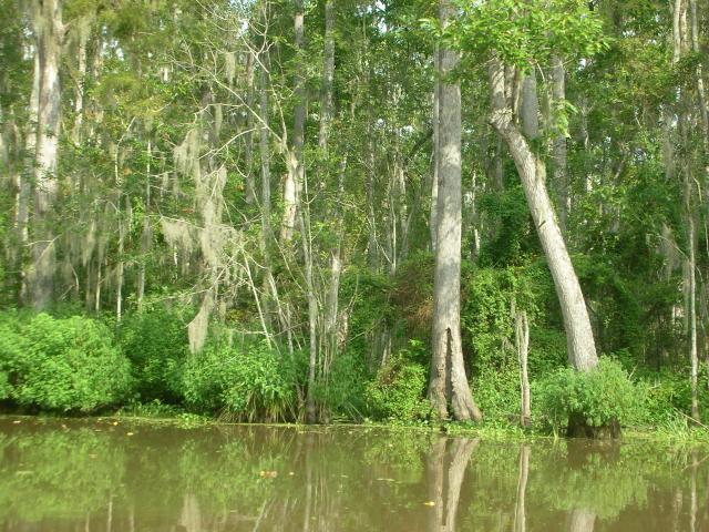 DSCN6396.JPG