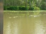 DSCN6397.JPG