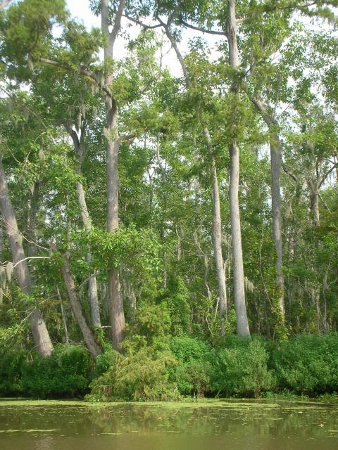 DSCN6399.JPG