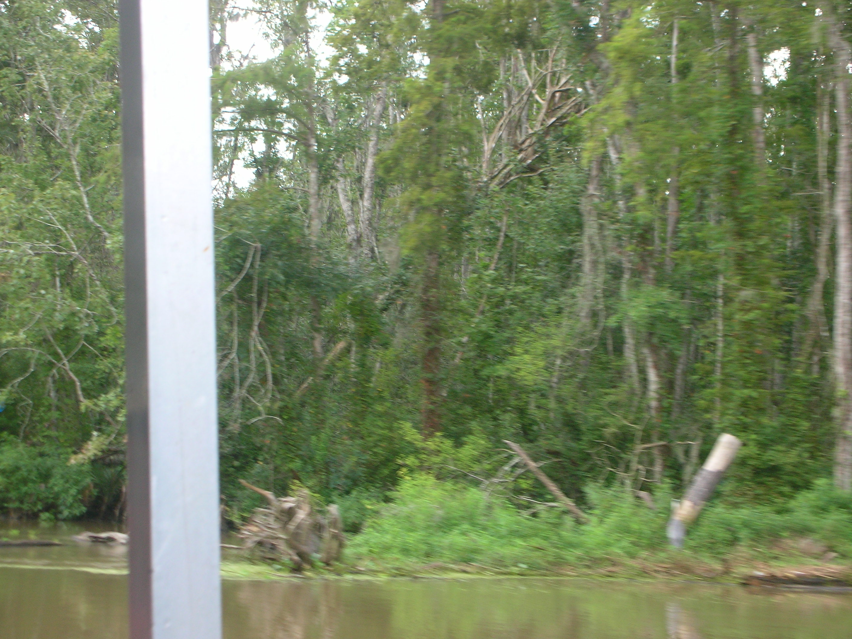 DSCN6400.JPG