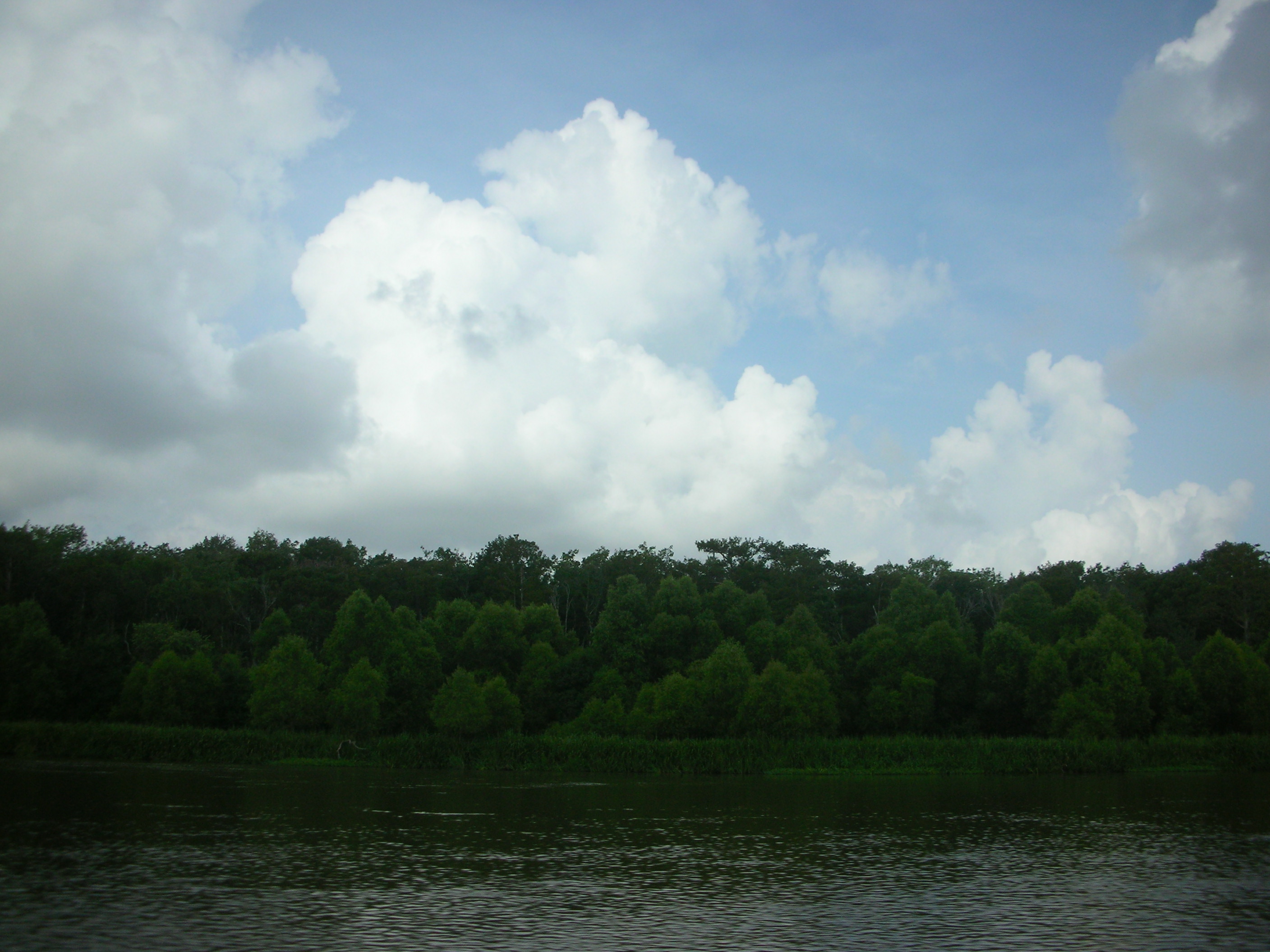 DSCN6407.JPG