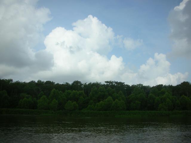 DSCN6407.JPG