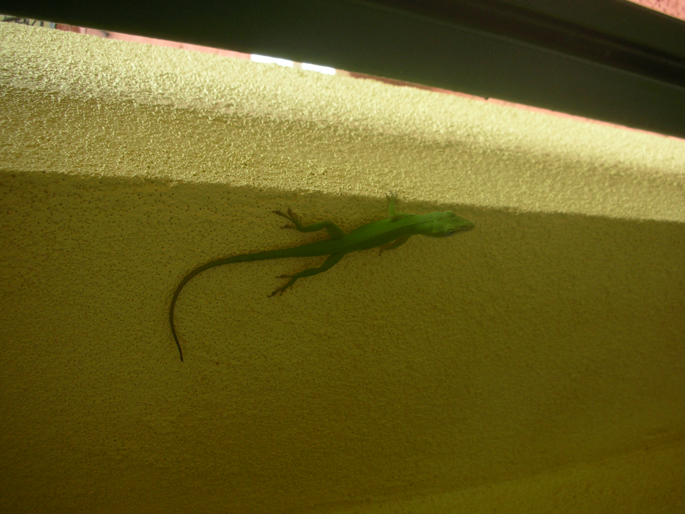 DSCN6478.JPG