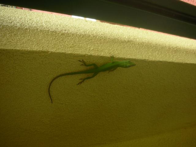 DSCN6478.JPG
