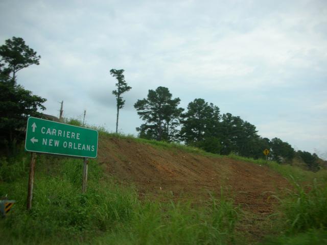 DSCN6479.JPG