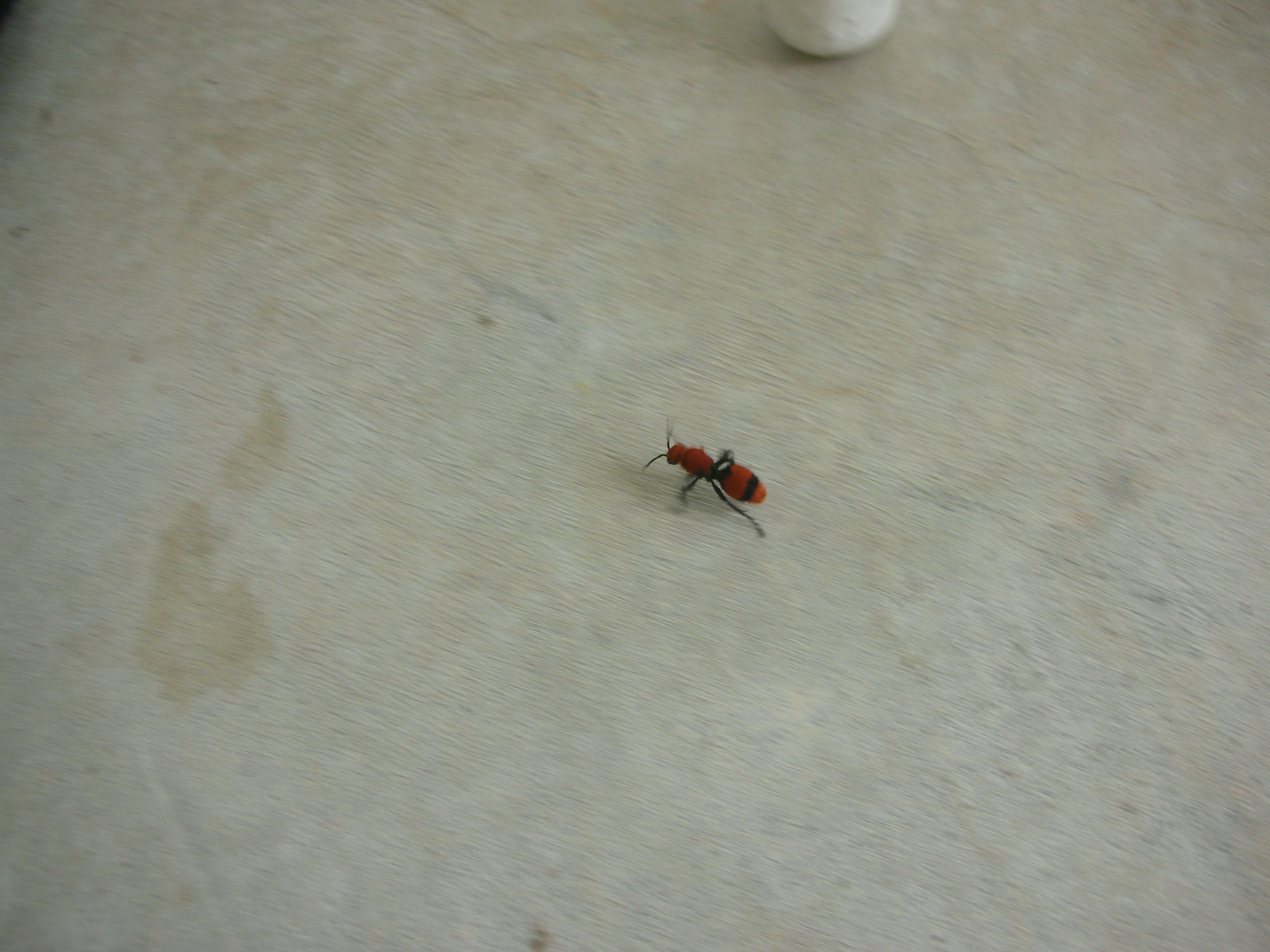 DSCN6505.JPG