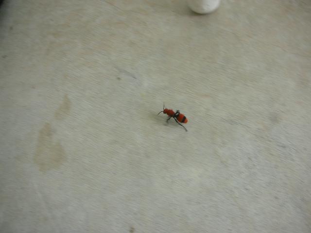 DSCN6505.JPG