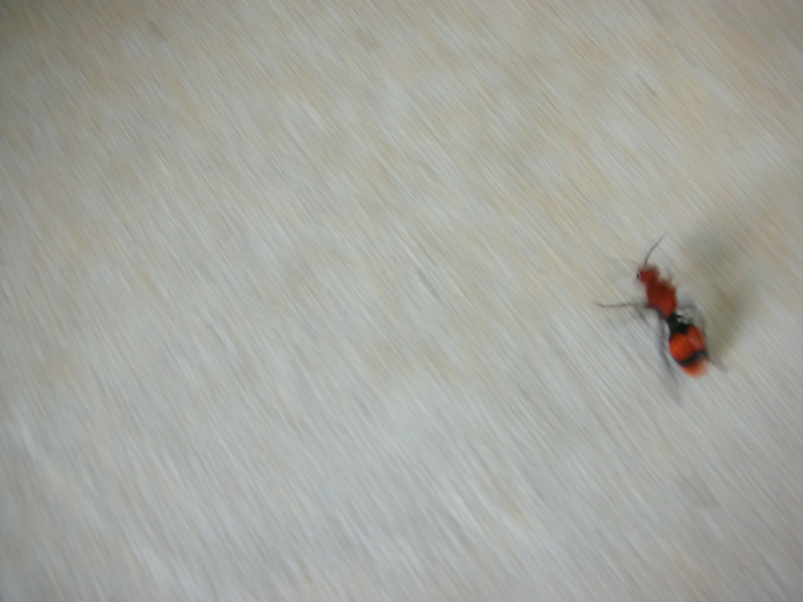 DSCN6506.JPG
