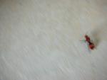 DSCN6506.JPG