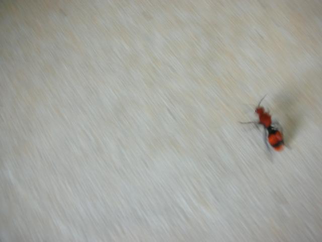 DSCN6506.JPG