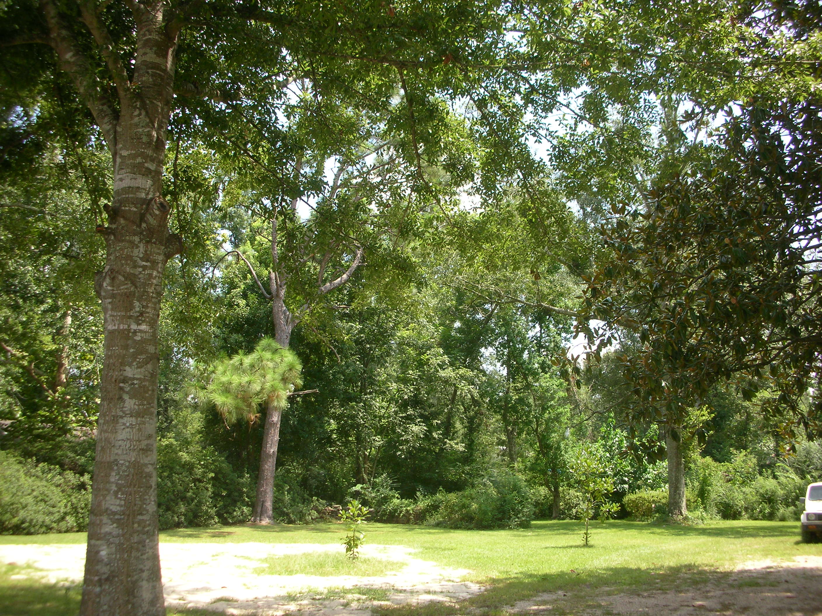 DSCN6509.JPG