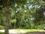 DSCN6509.JPG