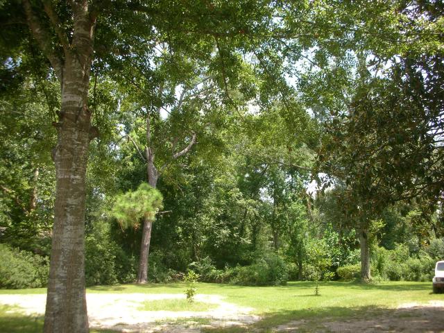 DSCN6509.JPG