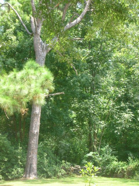 DSCN6510.JPG