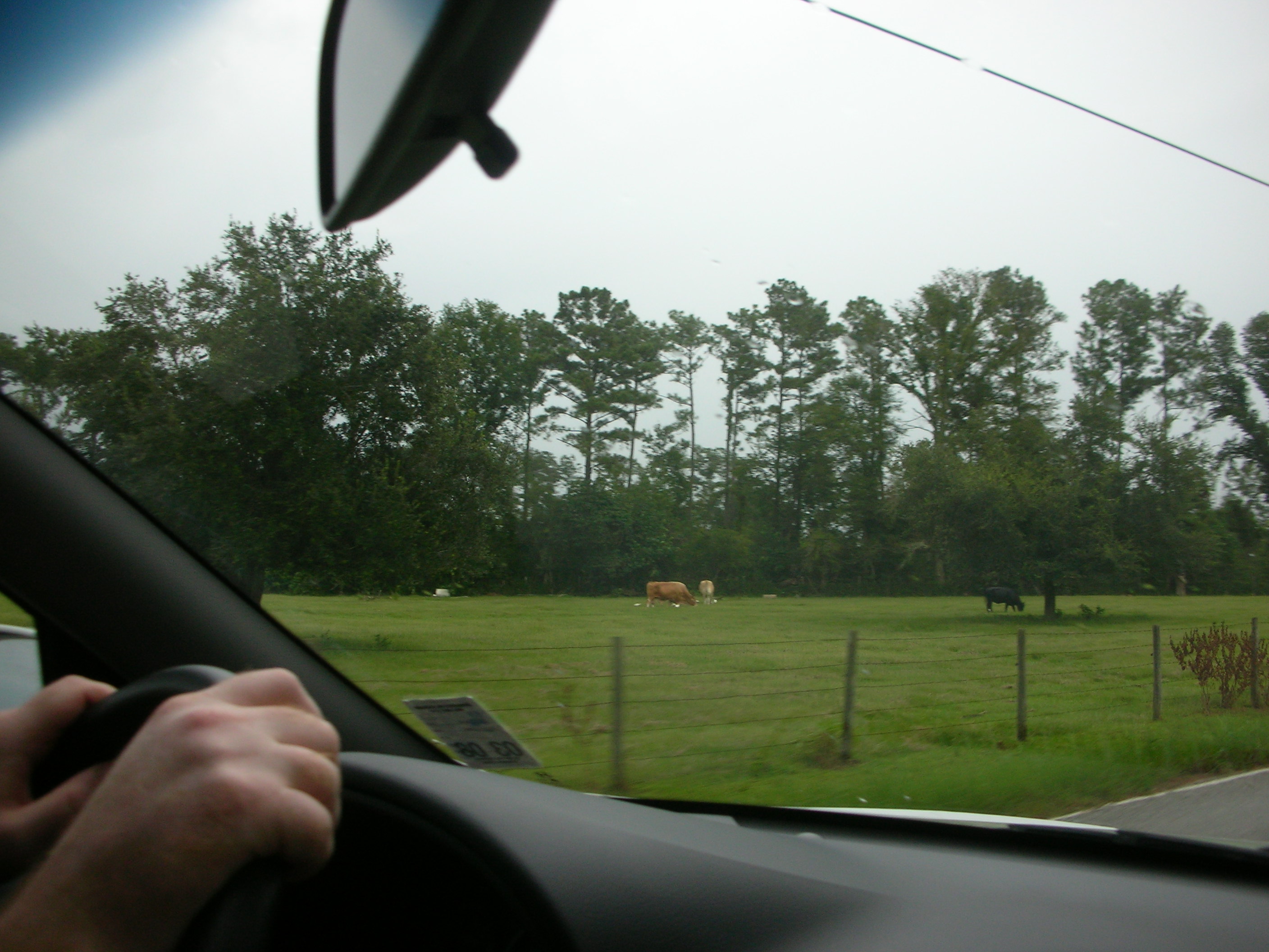DSCN6543.JPG