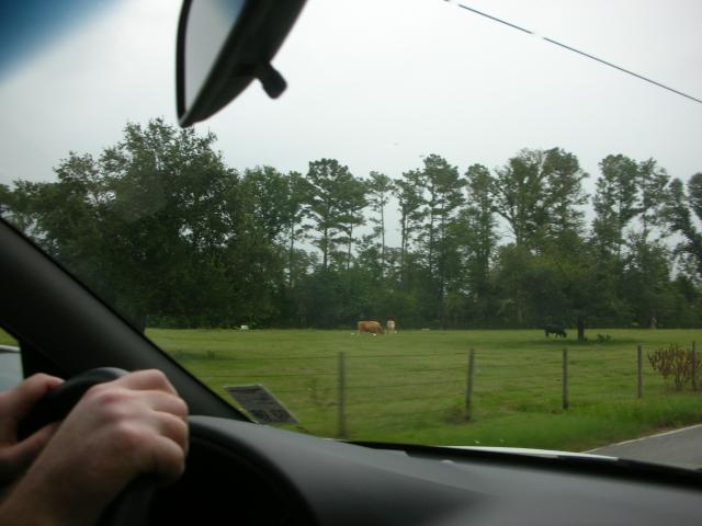 DSCN6543.JPG
