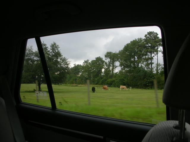 DSCN6544.JPG