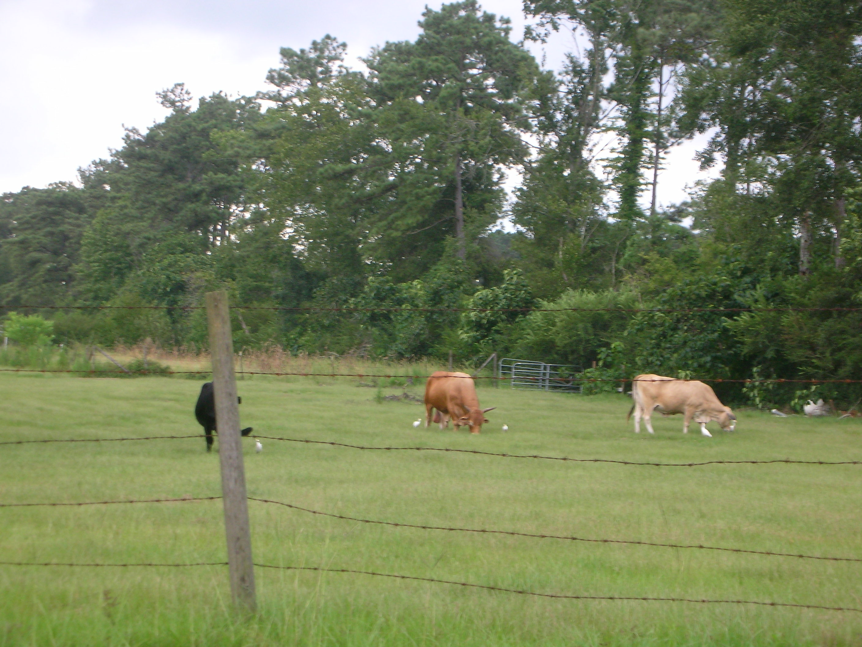 DSCN6545.JPG