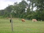 DSCN6545.JPG