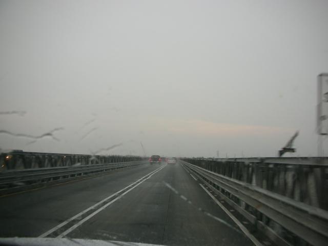 DSCN6555.JPG