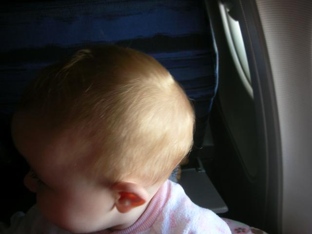 DSCN6569.JPG