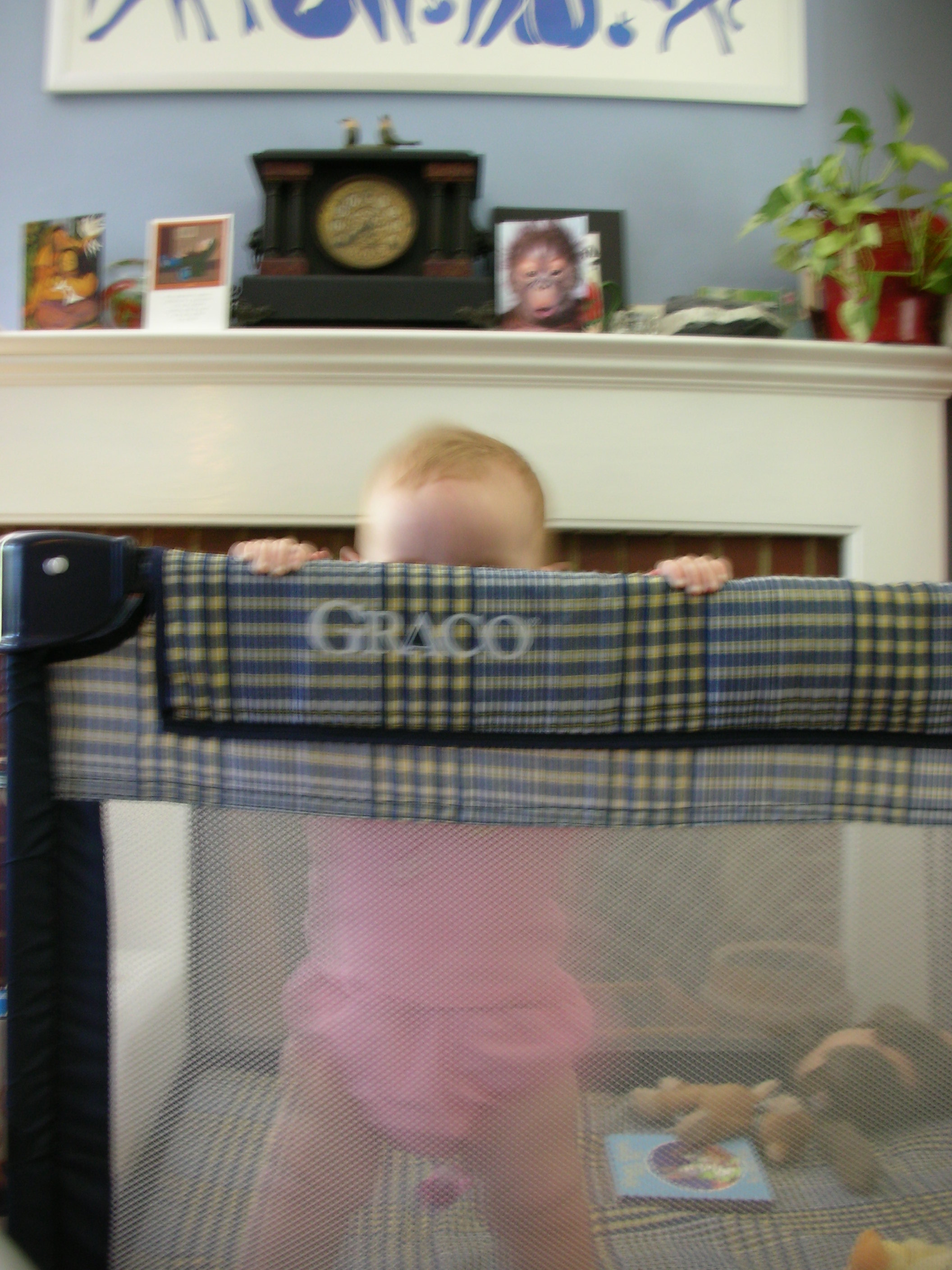 DSCN6597.JPG