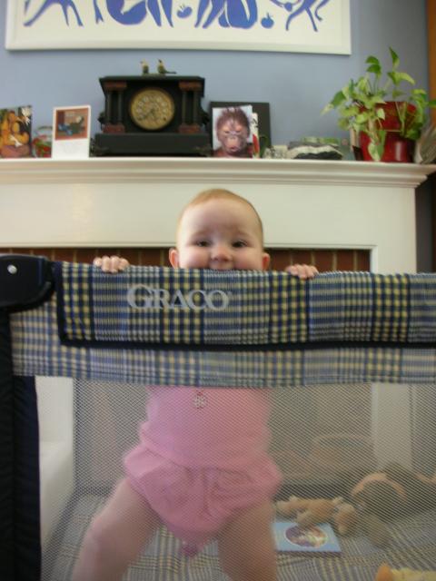 DSCN6598.JPG