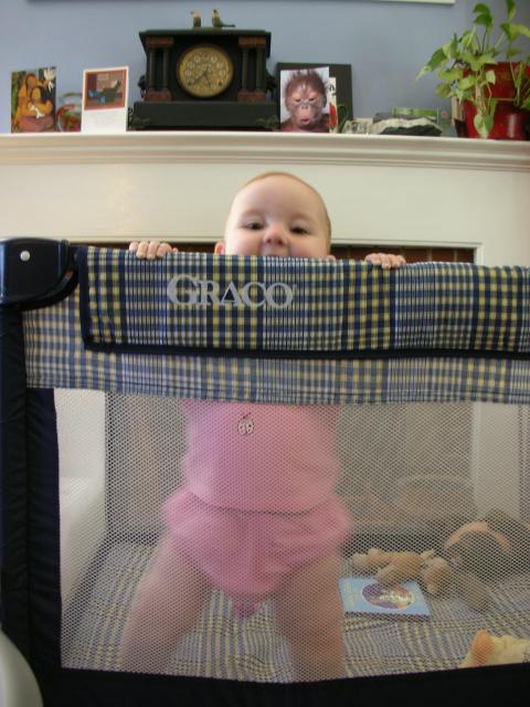 DSCN6599.JPG