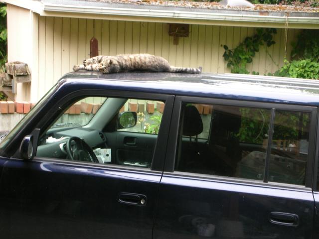 DSCN6622.JPG