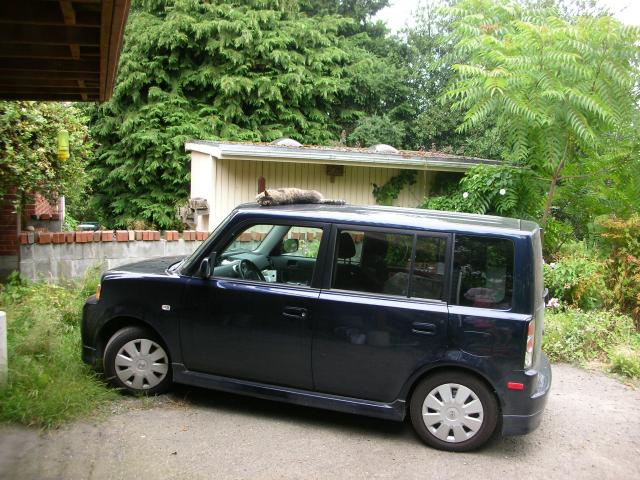 DSCN6623.JPG