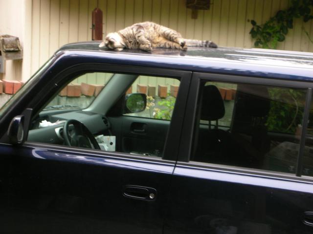 DSCN6624.JPG