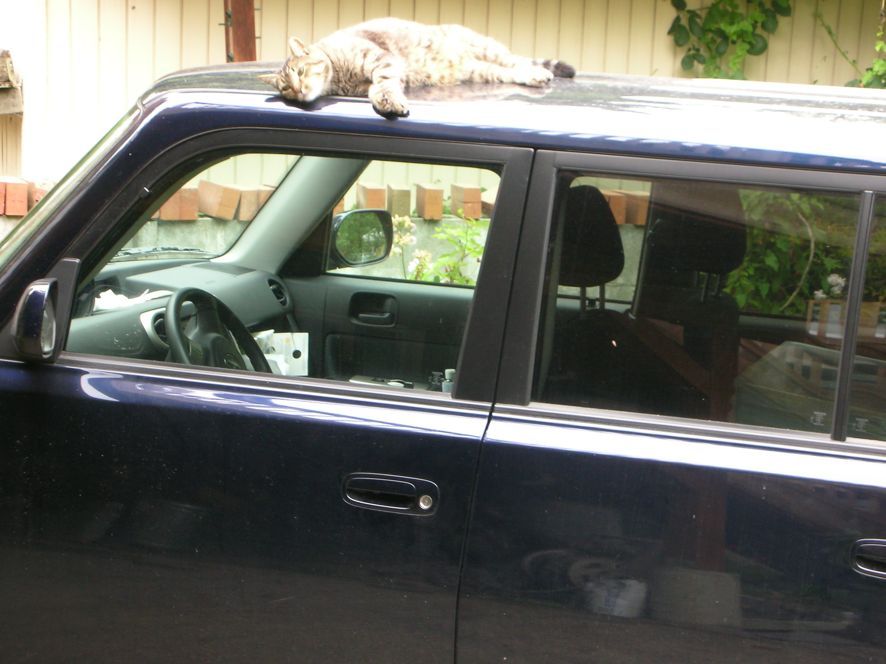 DSCN6625.JPG
