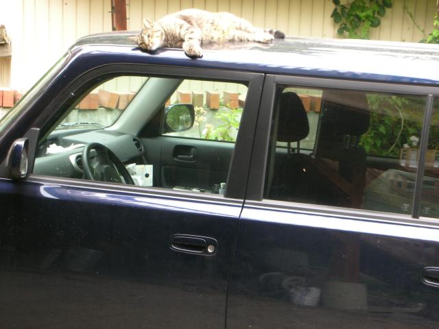 DSCN6625.JPG